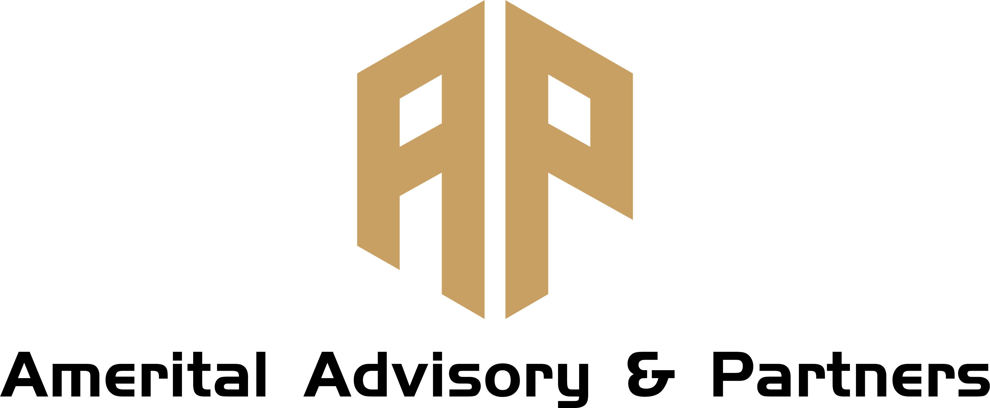Amerital Advisory & Partners